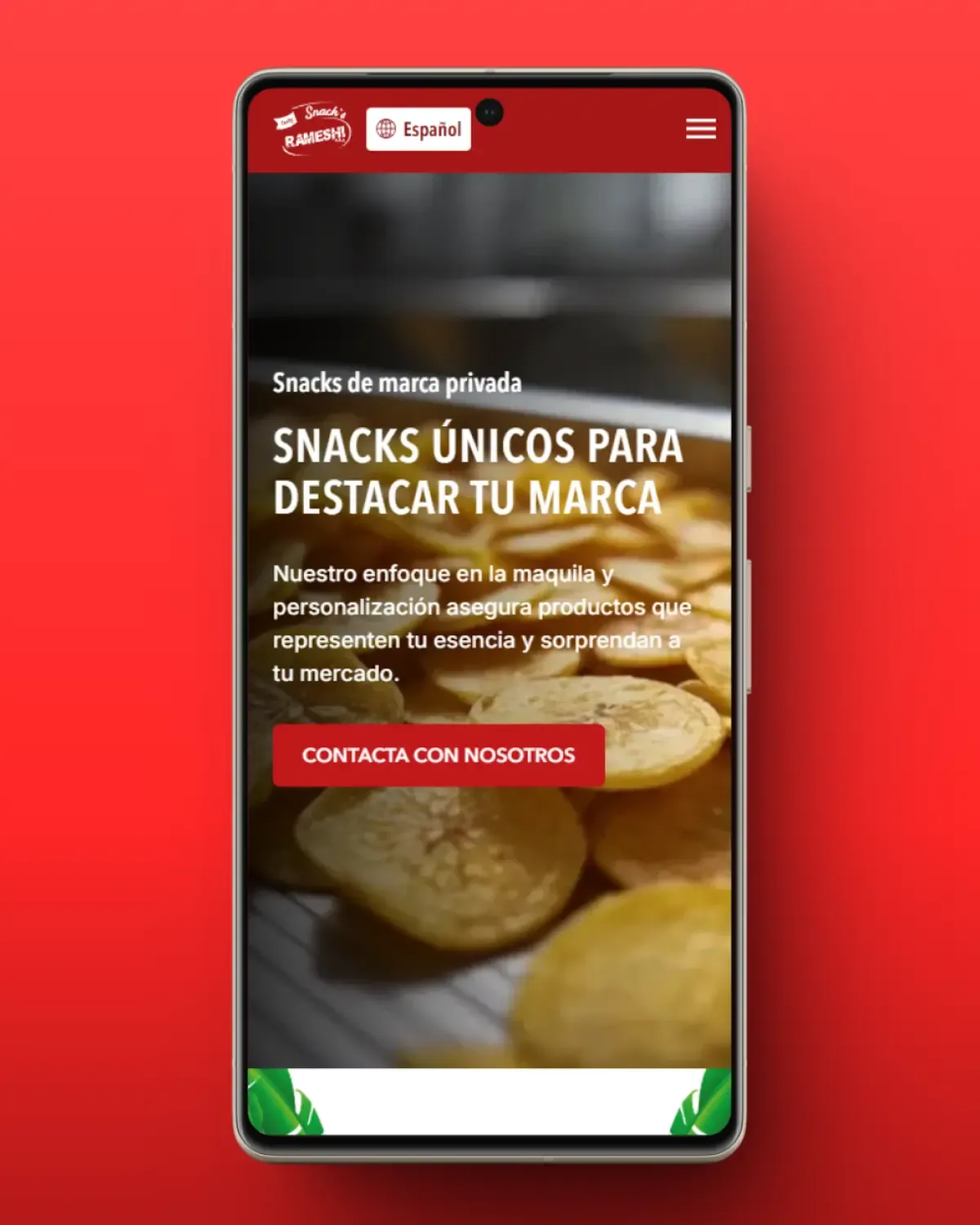 Captura del proyecto Rameshi Snacks
