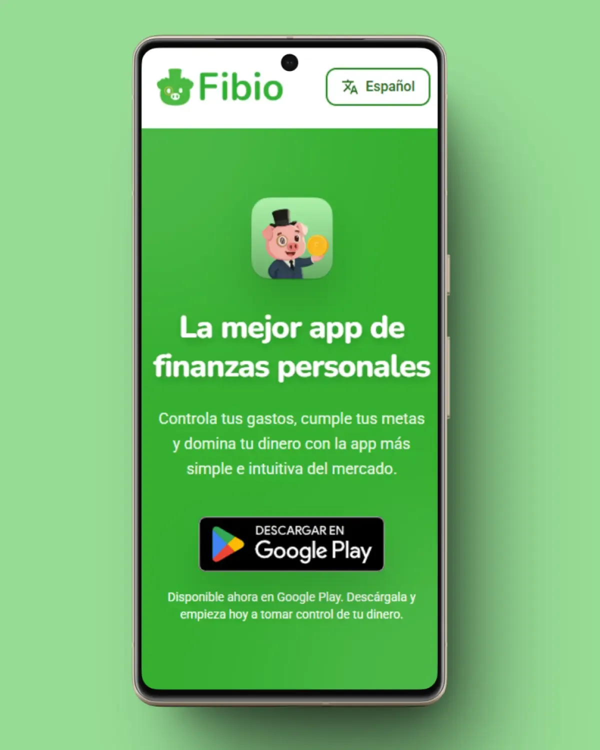 Captura del proyecto Fibio App