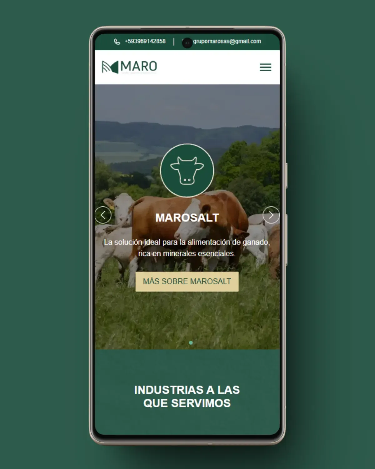 Captura del proyecto Grupo Maro